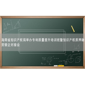 海南省知识产权局举办专利质量提升培训班暨知识产权质押融资银企对接会